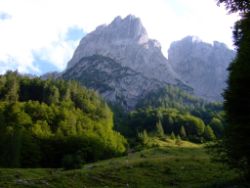 2013-08-12_Frohkostgipfel_VW (228).JPG